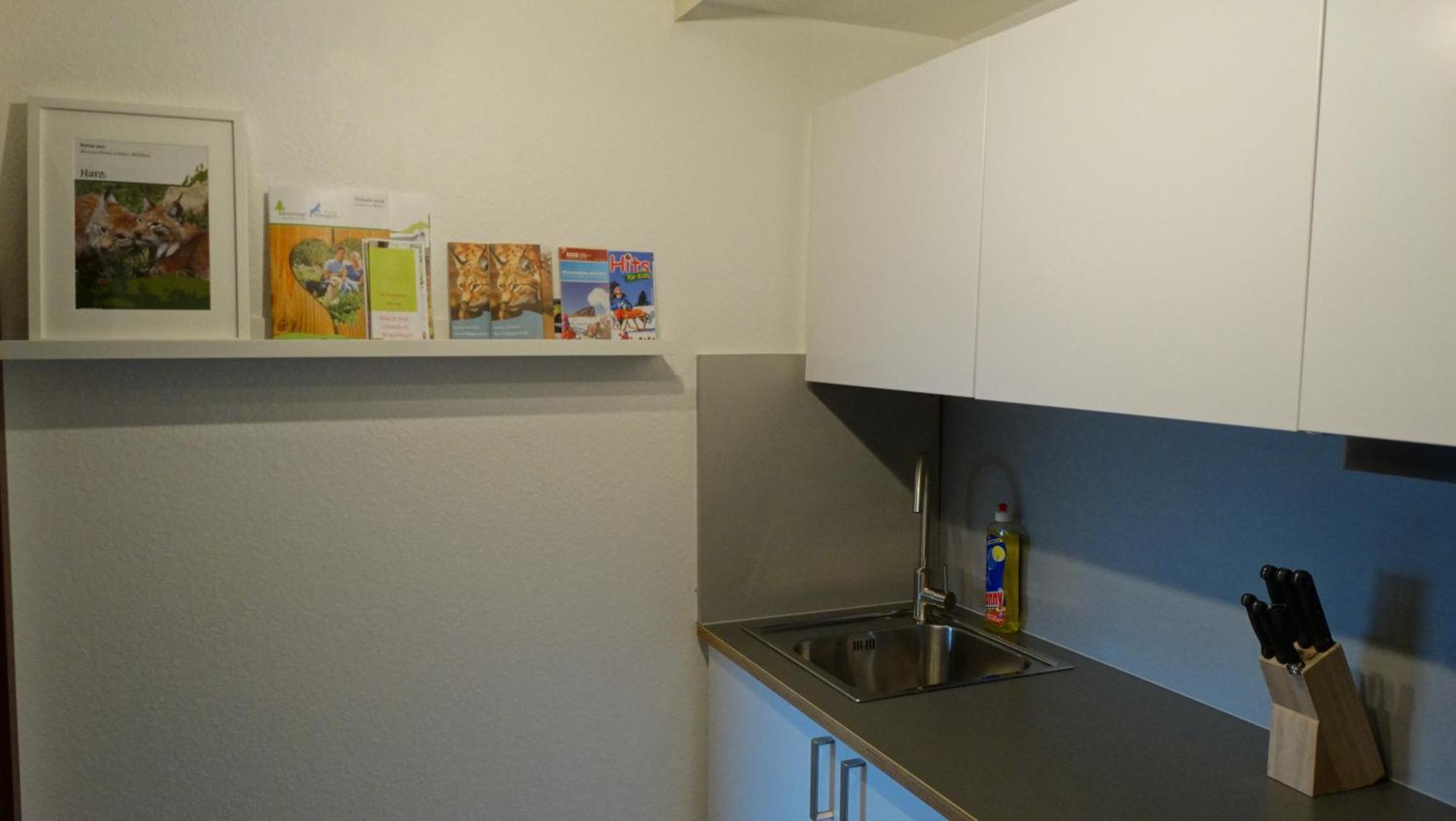 Ferienwohnung Bergziege Braunlage Exterior foto