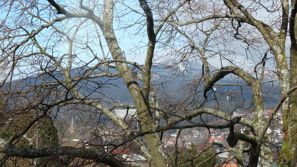 Ferienwohnung Bergziege Braunlage Exterior foto
